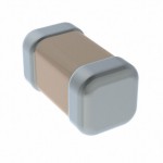 0603N511J500CT參考圖片