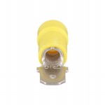 EDV10-250M-Q參考圖片