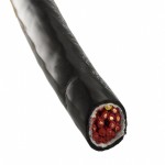 85818 BK002參考圖片