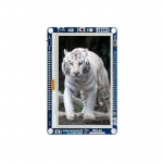 MIKROE-2085參考圖片