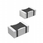 YNA21B1C0G106M參考圖片