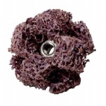 61500295169參考圖片