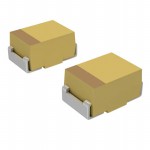 TLJN106M010R2500參考圖片