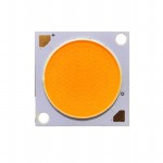 BXRE-50E6501-C-74參考圖片