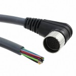 EW1900127 BK359參考圖片