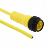 LR0300107 YL359參考圖片