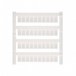 1828450000參考圖片