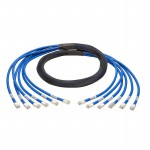 N261-010-6MM-BL參考圖片