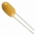 T350E106K020AT參考圖片