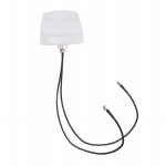 MTRA61274CW2-001參考圖片