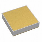 160U01A221MN4W參考圖片