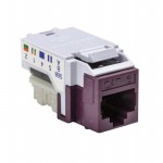 RJ45FC6-VIO參考圖片